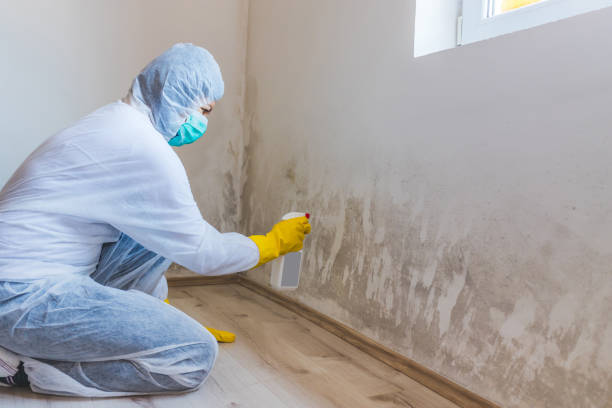 Hvac And Air Duct Mold Remediation inspection of HVAC system in Roxbury